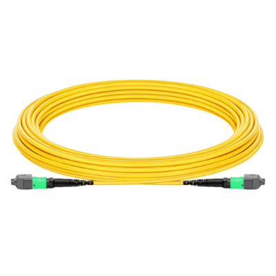 Lunch Cable