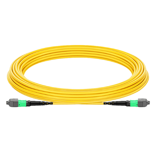 Lunch Cable